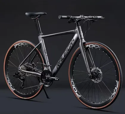 Professional Sport Racing and Off-Road Bicycles