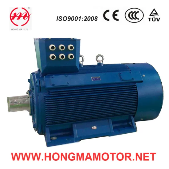 Y2 Hm Large Power Big Power 400kw, 450kw, 500kw Electric Motor