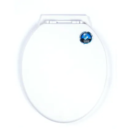 White Plastic Bathroom Smart Toilet Seat And Cover