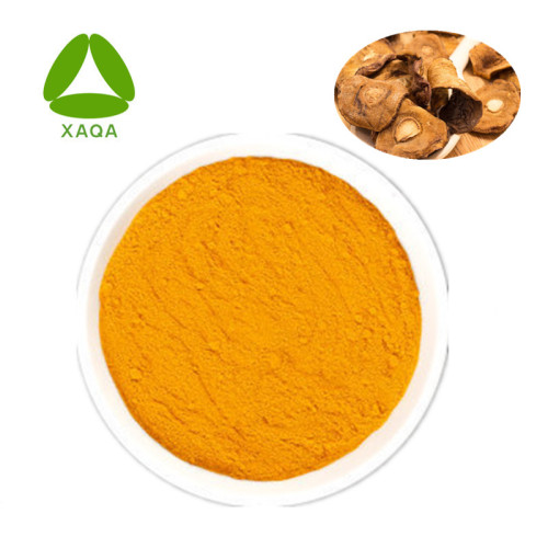 Rhubarb Extract 90% Emodin Powder 518-82-1, High Quality Rhubarb ...