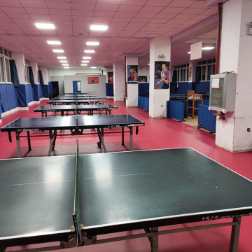 Professional Indoor Table Tennis floor ITTF Approved