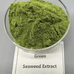 Ascophyllum nodosum Extract ( Organic Seaweed Extract)