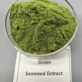 Ascophyllum nodosum Extract ( Organic Seaweed Extract)