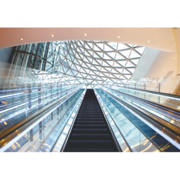 Good Price Indoor/Outdoor Automatic Start/Stop Shopping Center Escalator