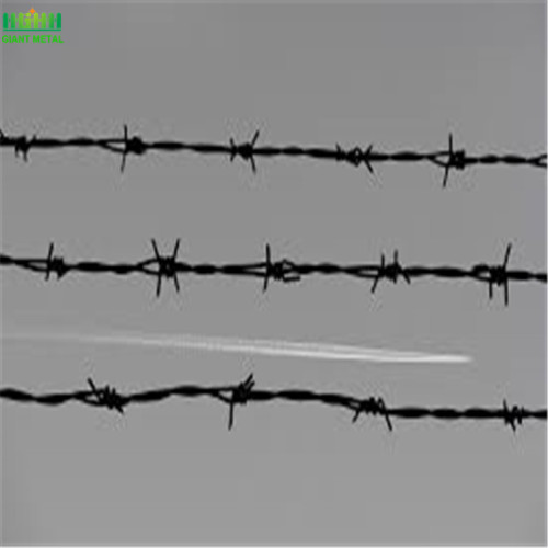 Cheap Galvanized Barbed Wire Fence