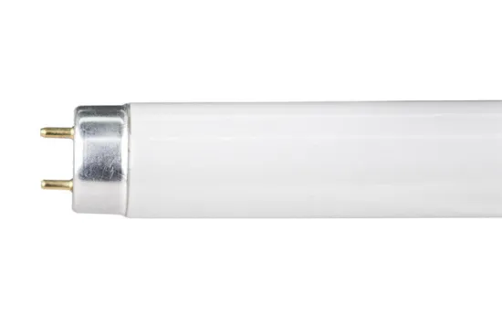 83 Cri T8 Tri-phosphor Tubular Fluorescent Lamp G13 10000hours