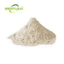 Probiotics Supplement Freeze Dried Lactobacillus Casei