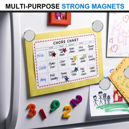 High Quality Factory Price Customized Neodymium Magnetics: Danone Magnet Disk and Rod