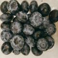 Quality Freeze Dried Blueberry