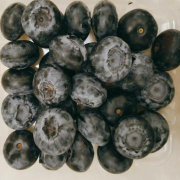 Blueberry kering beku berkualiti