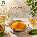 CoQ10 لتركيبات تغذية الطاقة الحديثة