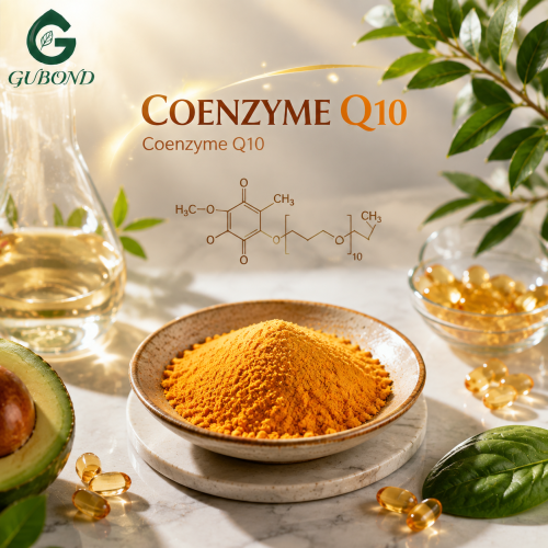 CoQ10 لتركيبات تغذية الطاقة الحديثة