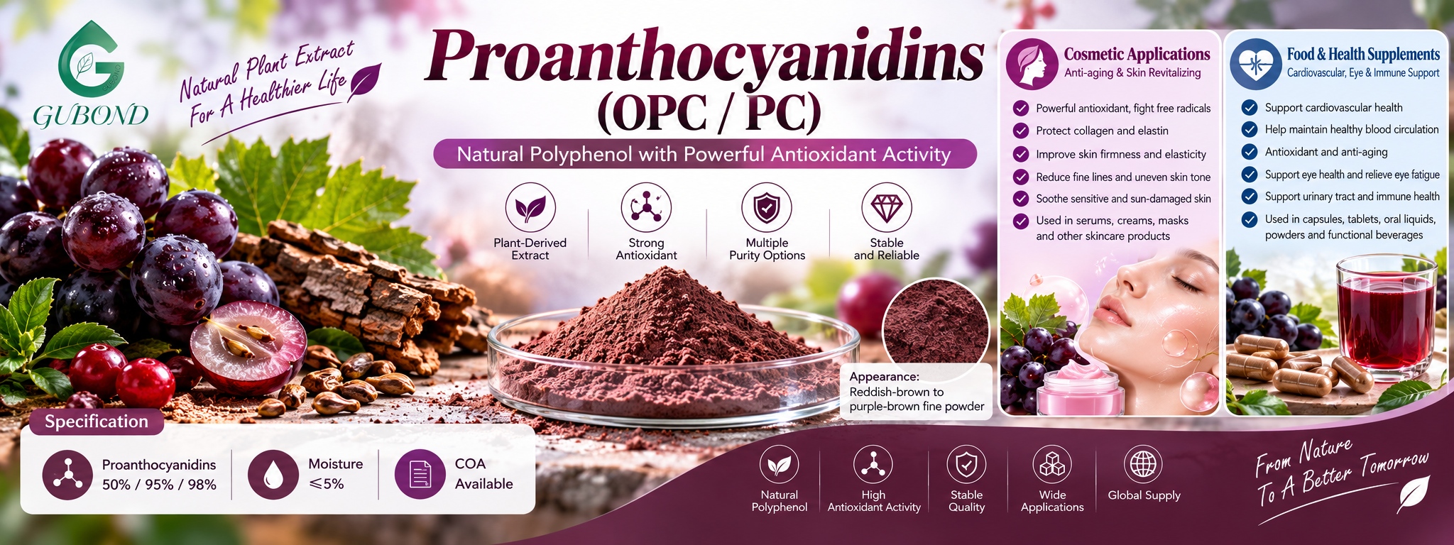 Proanthocyanidins (OPC PC)