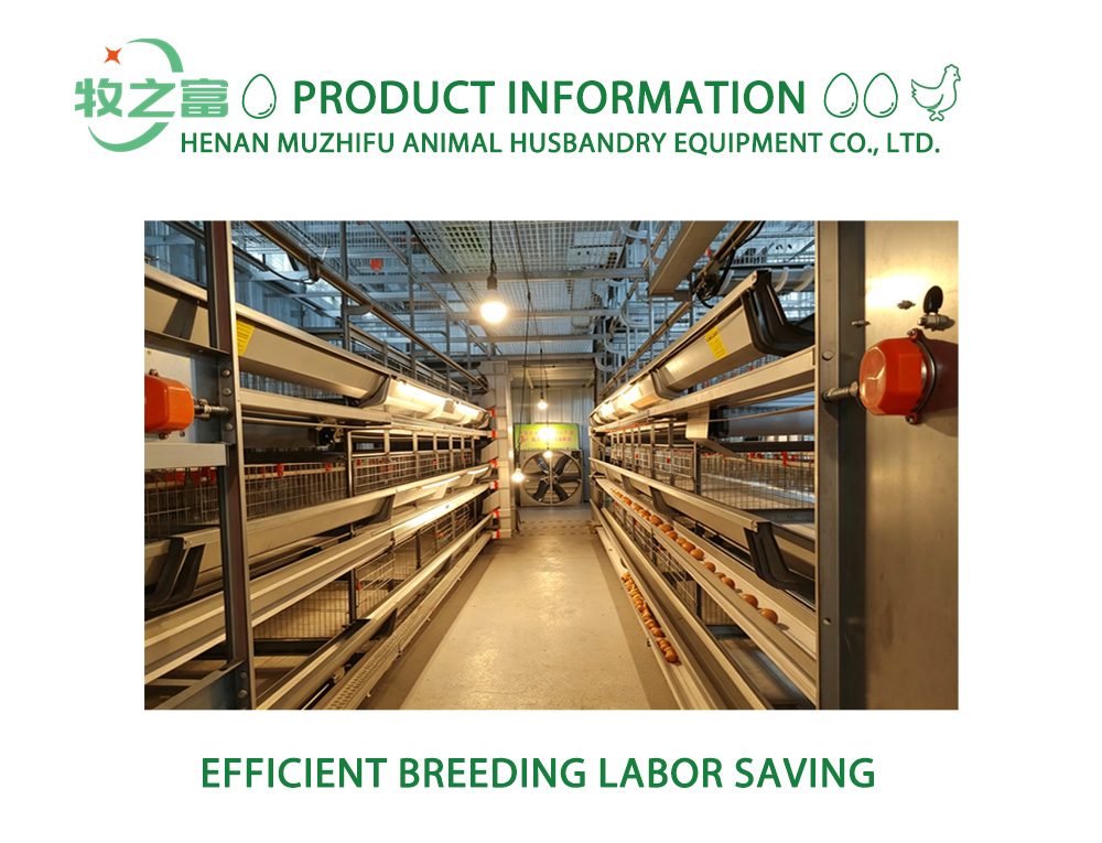Stacked Egg Laying Cage Equipment X