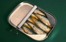 Cheap Price Canned Sardine Fish In Oil 125g