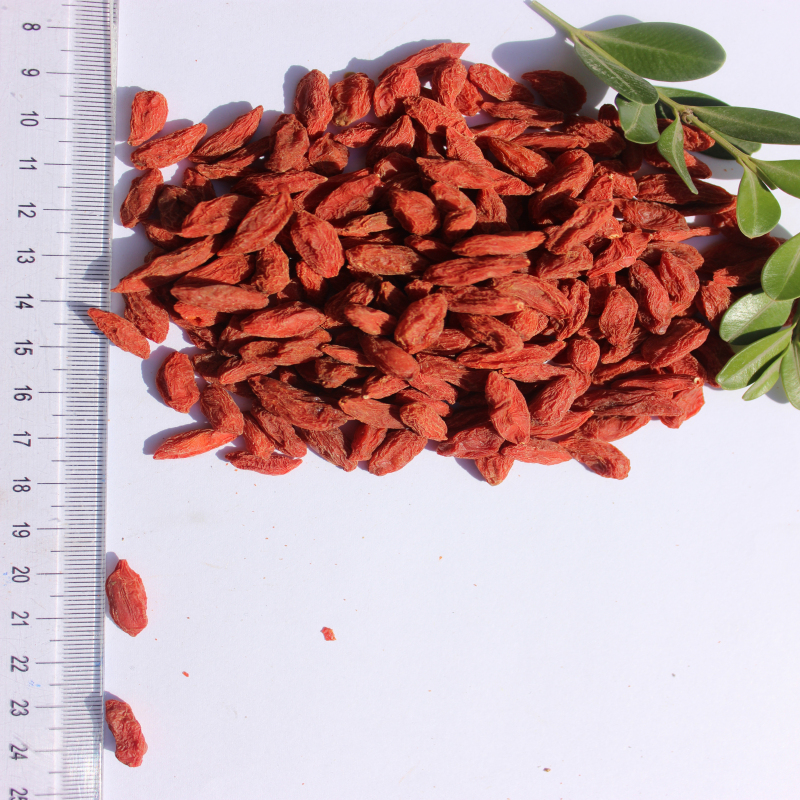 Yüksek beslenme sertifikalı sağlıklı Goji Berry