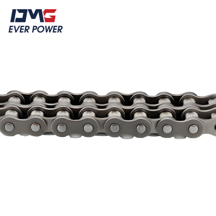 Kurze Pitch Precision Roller Chain (B -Serie)