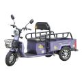 Small Leisure Electric Tricycle 3-Wheel Vehicle