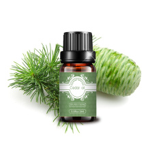 Cedar Essential Oil Organik Ekstrak Tanaman Harga curah