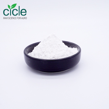 Acide gibberellique à 10% de poudre soluble