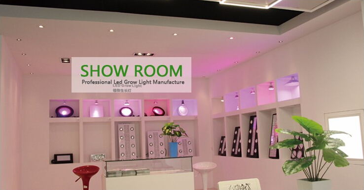 Show Room P