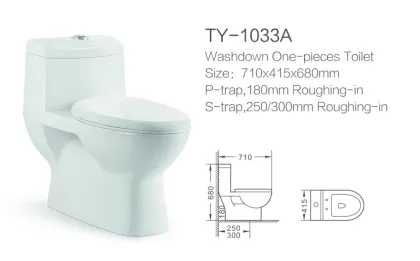 Washdown P trap S trap One piece Toilet