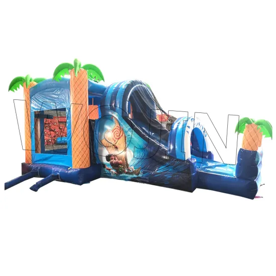 Sea World Inflatable Slide - Cheap Price Bouncer Castle and Dry Slide for Sale