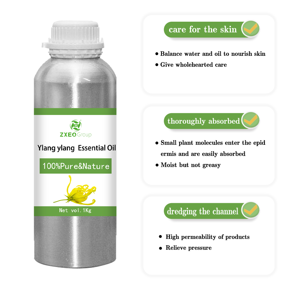 100% puro y natural Ylang Ylang Oil Essential esencial Aceite de bluk Bluk de alta calidad para compradores globales El mejor precio