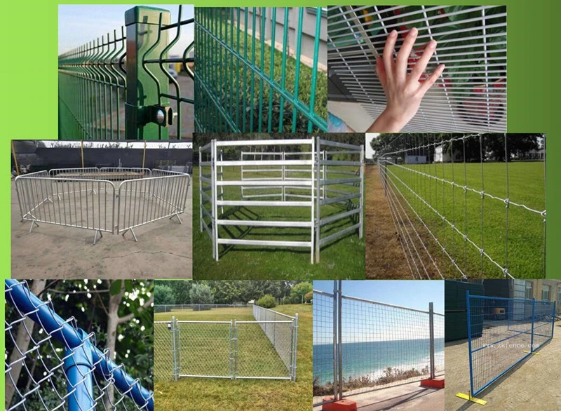 Fense de jeux de jardin en mailles soudées courbes en revêtement en poudre Courbe en poudre