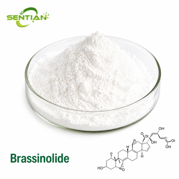 Brassinolide for Enhanced Plant Growth and Stress Resilience