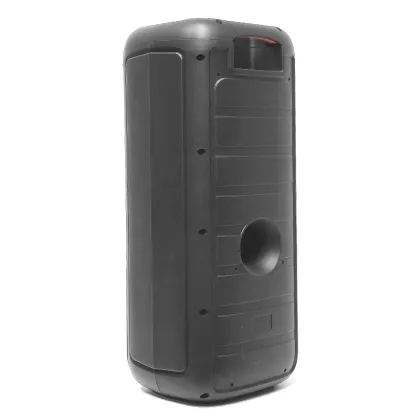 Big Outdoor DJ Speakers with Disco Lights for Karaoke