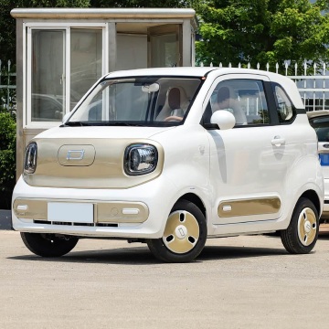 最实惠的电动汽车