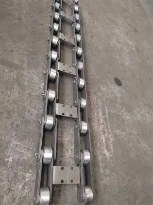 chain food transmission chain