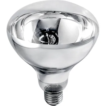 Infrared Poultry Heat Lamp Bulbs - 250-300W Heating Lights for Sale