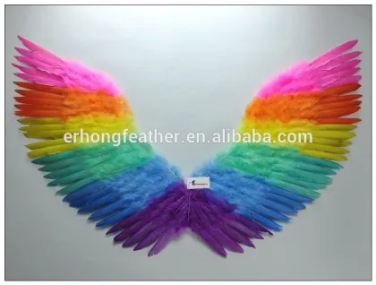 New Design Feather Wing