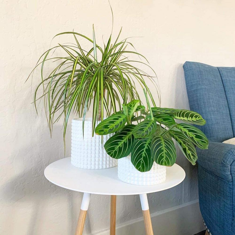 White Ceramic Vintage Style Hobnail Patterned Planter Pots