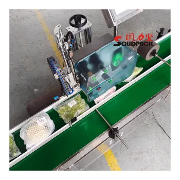 SolidPack Auto Zip Lock Bag Label Pasting Machine with Print and Apply Systems