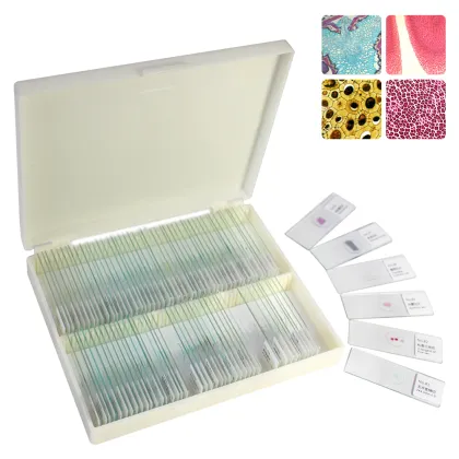 Botany Histology Laboratory Slides: FRT2004 Teaching Aids - 100 Kinds of Plant Microscope Slides