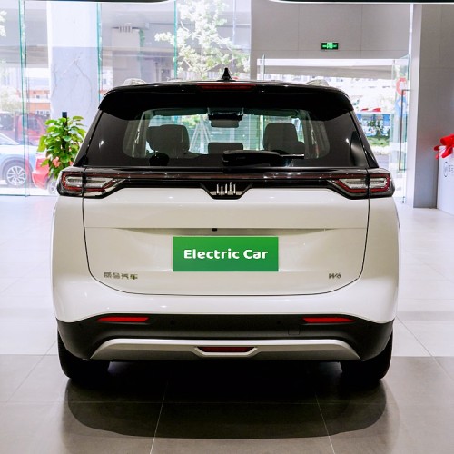 Pure electric mid size SUV Weima w6