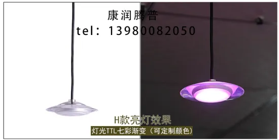 Breathing Forest Light Shadow Light