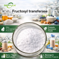 High-Efficiency Fructosyl Transferase for Industrial