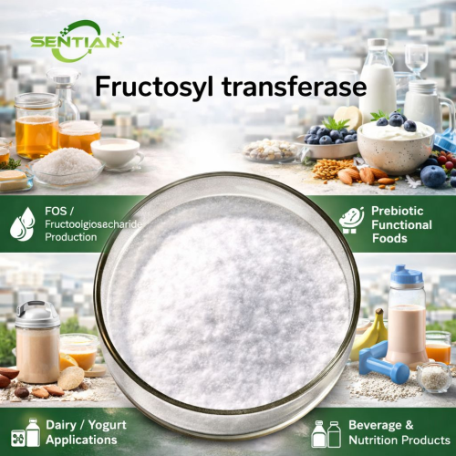 High-Efficiency Fructosyl Transferase for Industrial