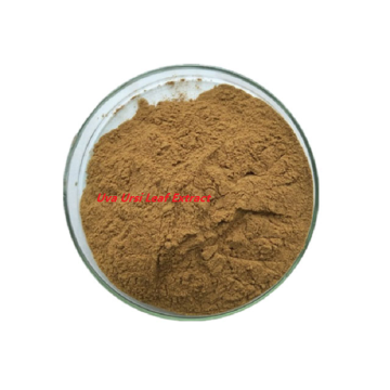 supplement arctostaphylos uva ursi leaf extract powder skin