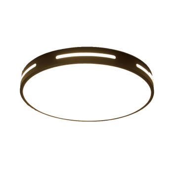 Minimalist Cheap LED Ceiling Lamp for Apartment Balcony and Lobby