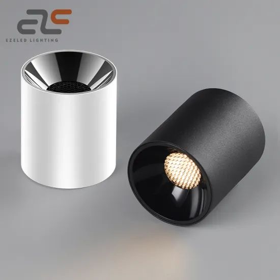 EZELED Customizable Angle Recessed LED Down Light (12W-30W)
