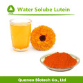 In water oplosbare luteïne 5% extract van goudsbloembloempoeder