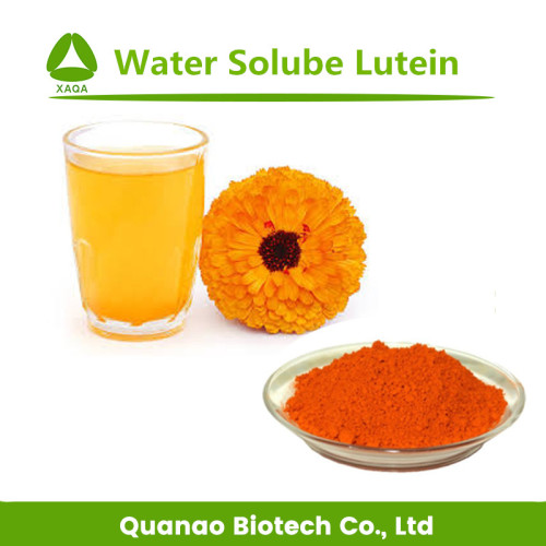 Water Soluble Lutein 5% Extract Marigold Flower Powder