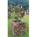Garbion Wire Set Base для плантатора