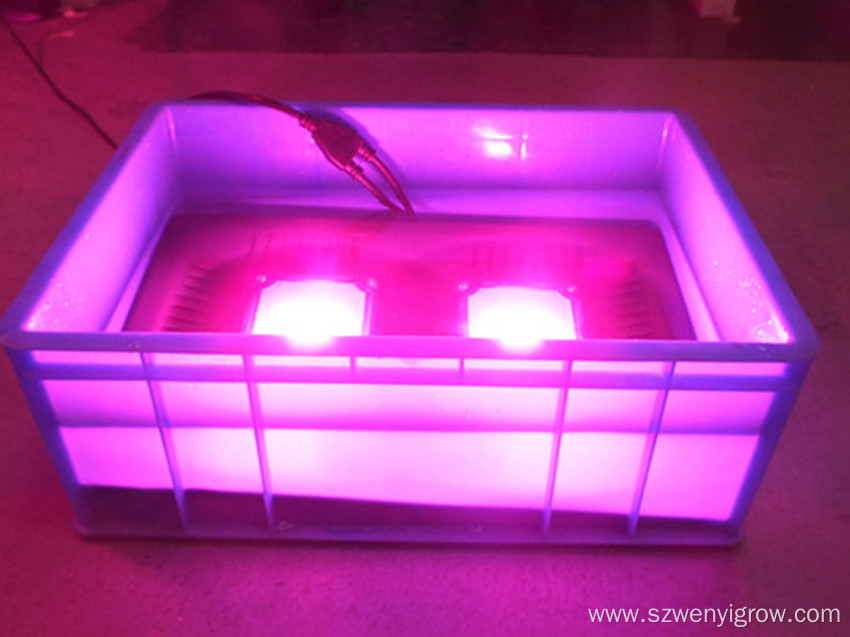 50W cob grow lights for indoor plants hydroponic