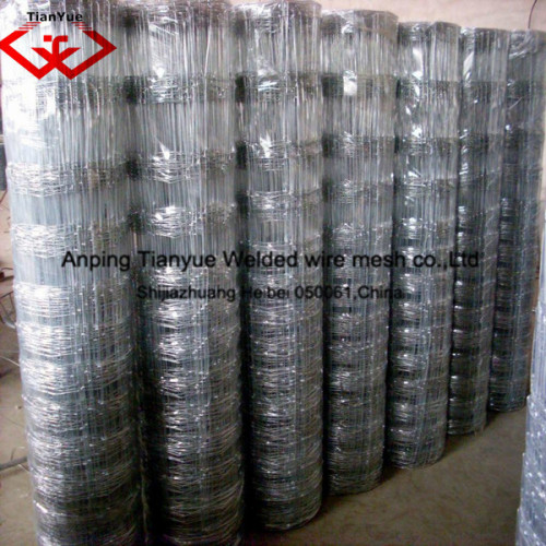 Grass Land Fence/Wire Mesh Fence/Filed Fence (factory and supplier)